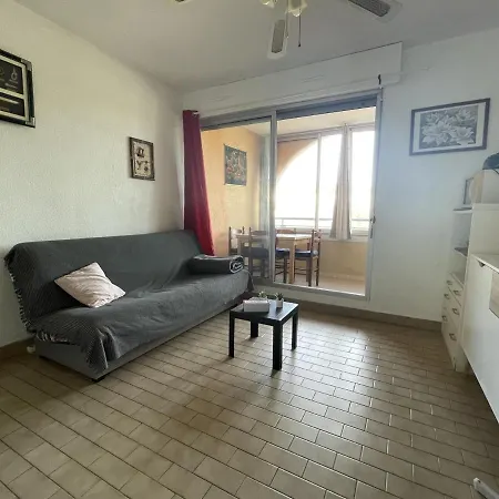 Apartment Avec Loggia Vitree, A 100m De La Plage, Proche Commerces Et Activites A - Fr-1-338-492 Sete