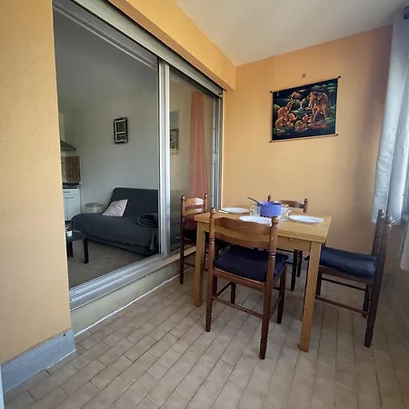 Avec Loggia Vitree, A 100m De La Plage, Proche Commerces Et Activites A - Fr-1-338-492 * Sete